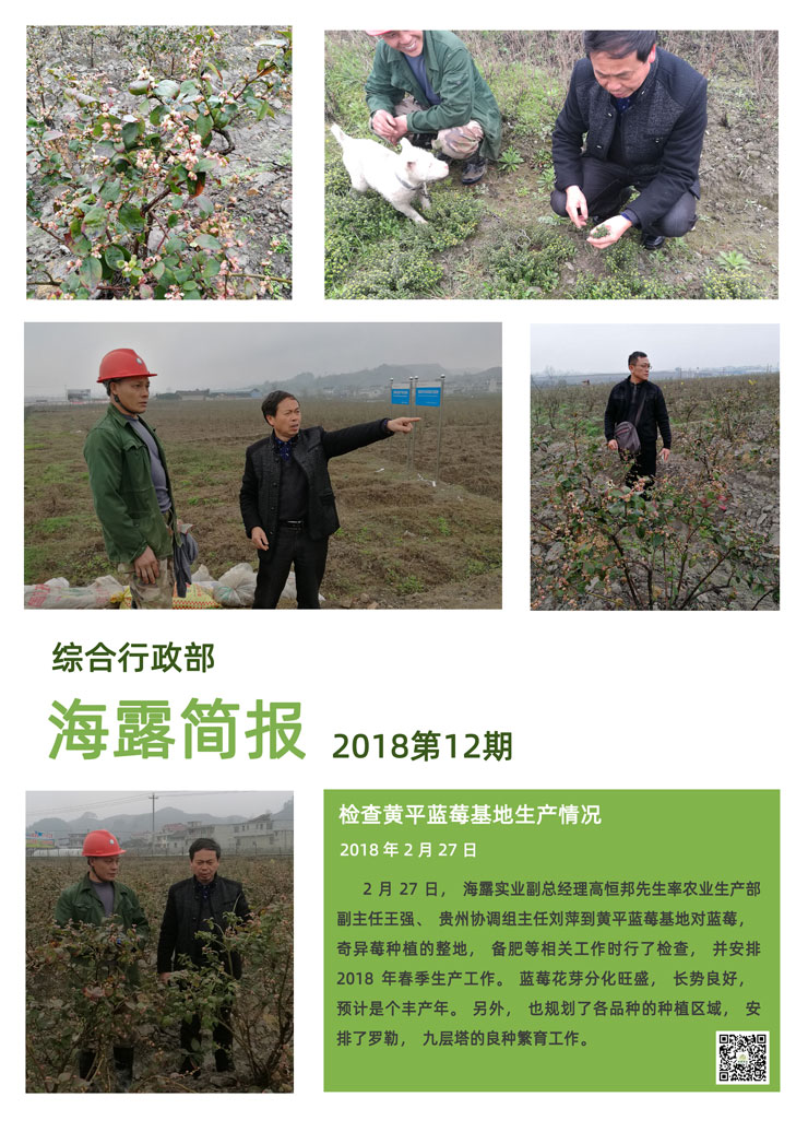 俄罗斯专享会294·VIP(中国区)官方网站