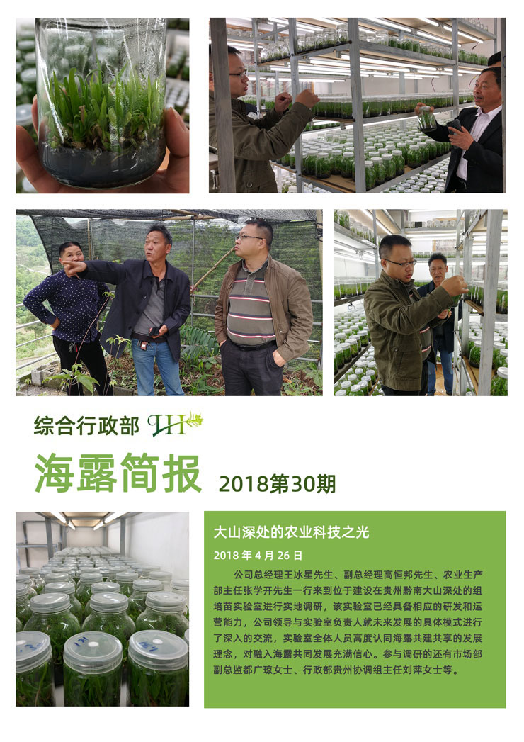 俄罗斯专享会294·VIP(中国区)官方网站