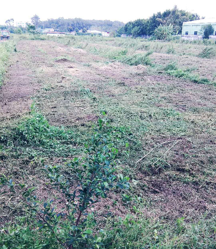 俄罗斯专享会294·VIP(中国区)官方网站