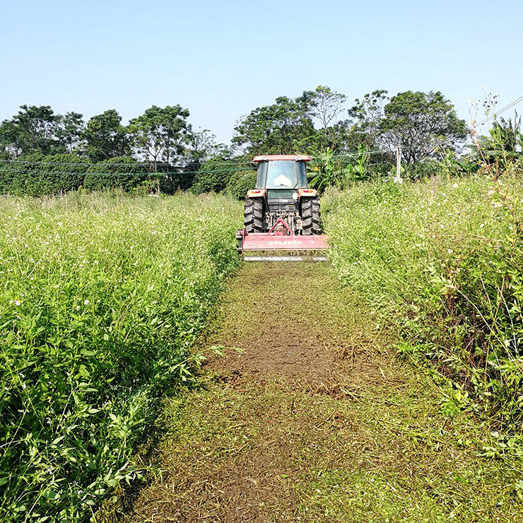 俄罗斯专享会294·VIP(中国区)官方网站