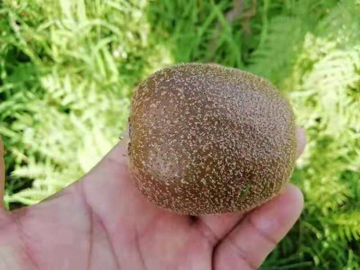 俄罗斯专享会294·VIP(中国区)官方网站