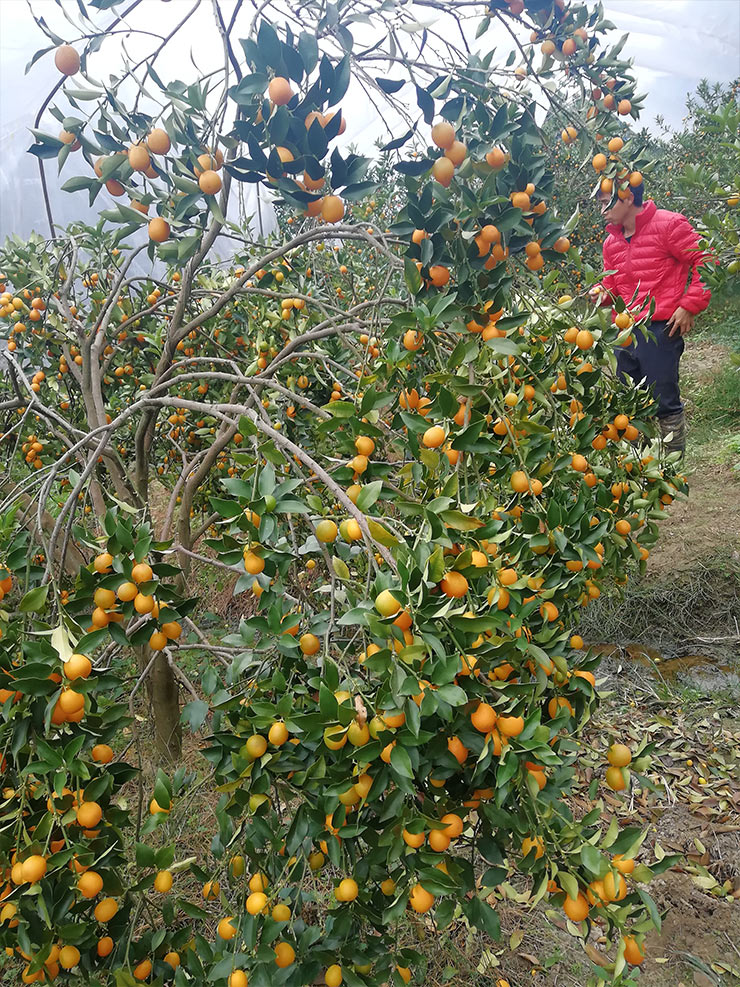 俄罗斯专享会294·VIP(中国区)官方网站