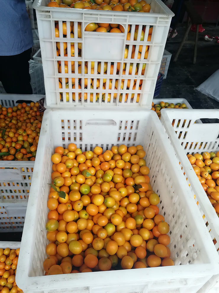 俄罗斯专享会294·VIP(中国区)官方网站