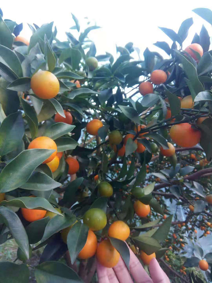 俄罗斯专享会294·VIP(中国区)官方网站