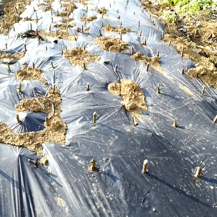 俄罗斯专享会294·VIP(中国区)官方网站