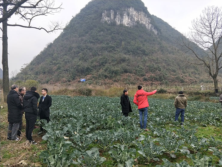 俄罗斯专享会294·VIP(中国区)官方网站