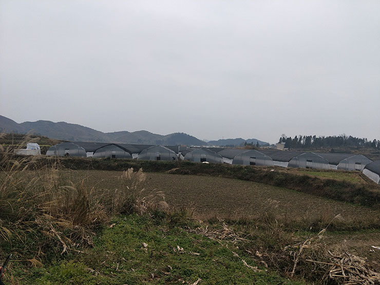 俄罗斯专享会294·VIP(中国区)官方网站