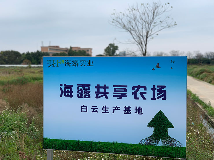 俄罗斯专享会294·VIP(中国区)官方网站