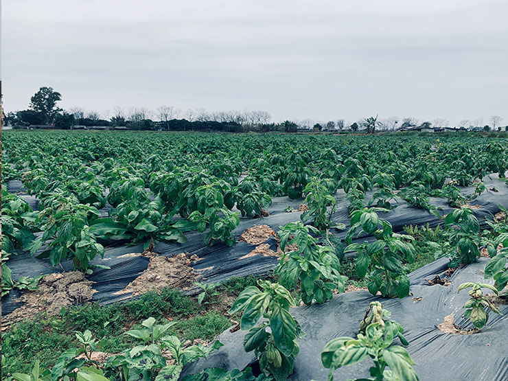 俄罗斯专享会294·VIP(中国区)官方网站