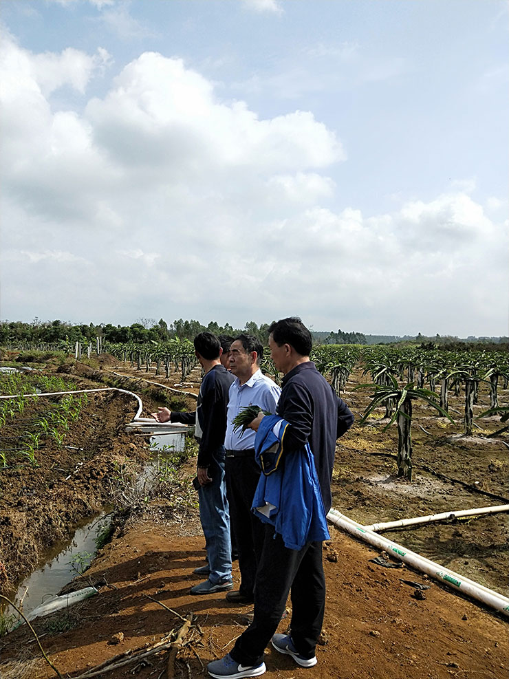 俄罗斯专享会294·VIP(中国区)官方网站