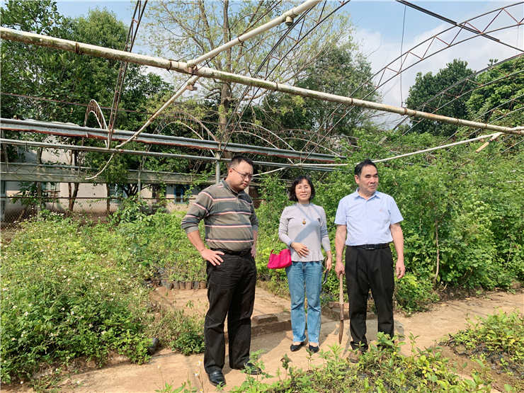 俄罗斯专享会294·VIP(中国区)官方网站