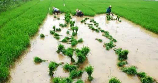 俄罗斯专享会294·VIP(中国区)官方网站