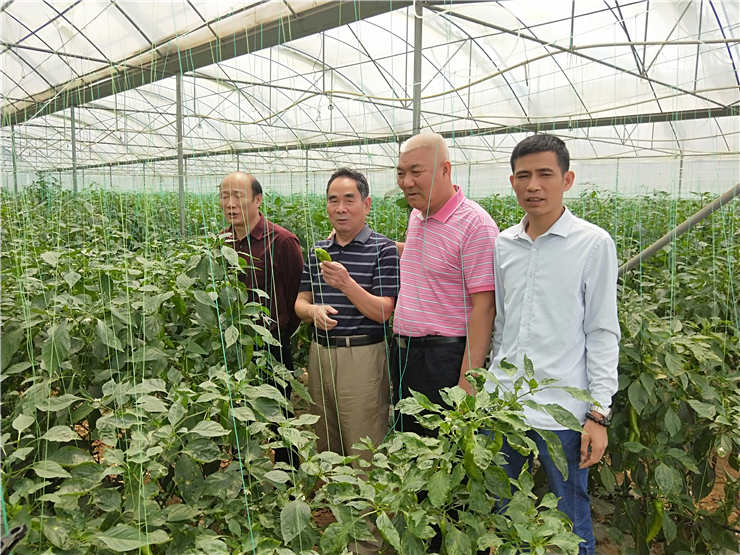 俄罗斯专享会294·VIP(中国区)官方网站