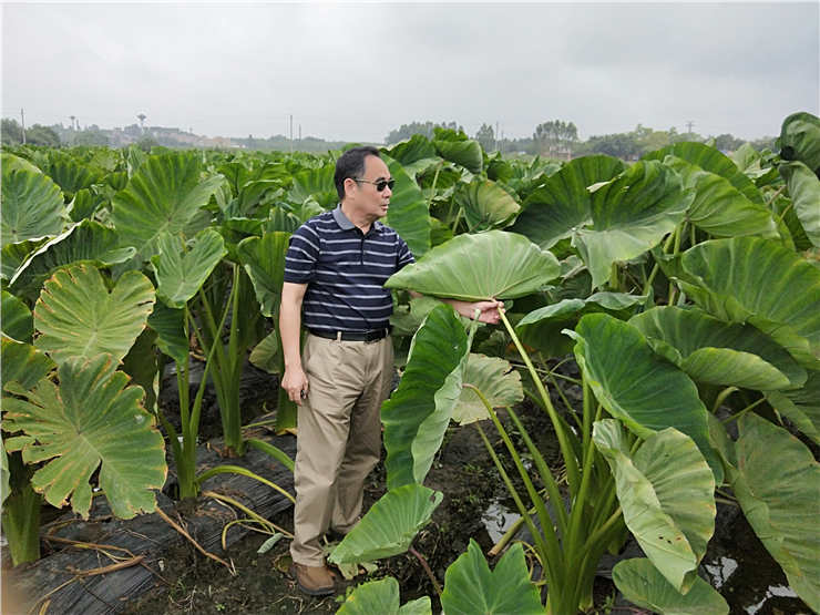 俄罗斯专享会294·VIP(中国区)官方网站