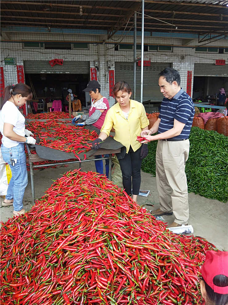 俄罗斯专享会294·VIP(中国区)官方网站