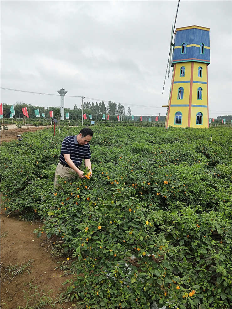 俄罗斯专享会294·VIP(中国区)官方网站