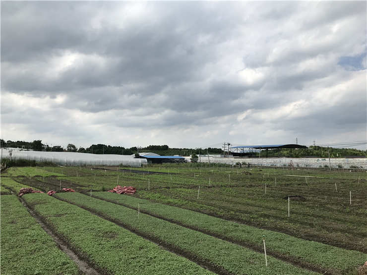 俄罗斯专享会294·VIP(中国区)官方网站