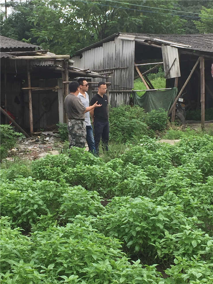 俄罗斯专享会294·VIP(中国区)官方网站