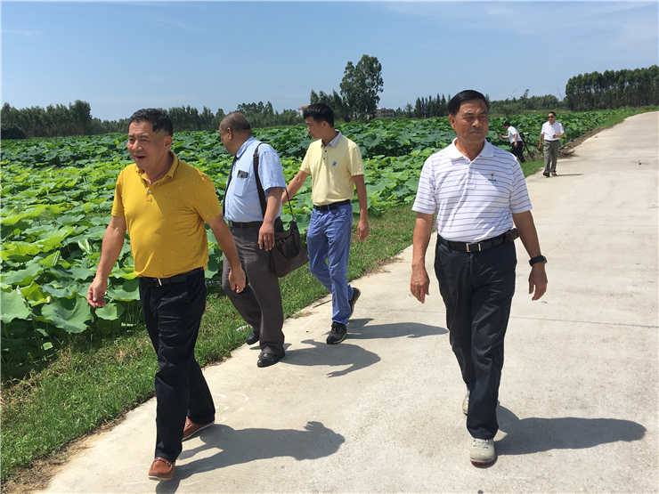 俄罗斯专享会294·VIP(中国区)官方网站