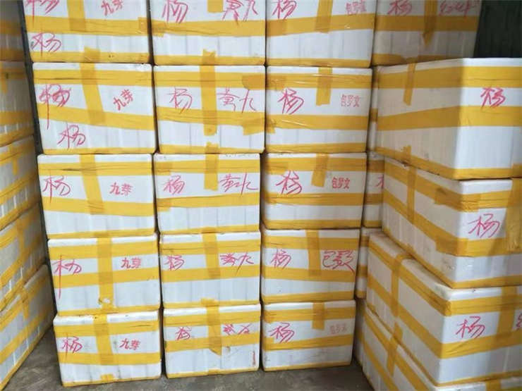 俄罗斯专享会294·VIP(中国区)官方网站