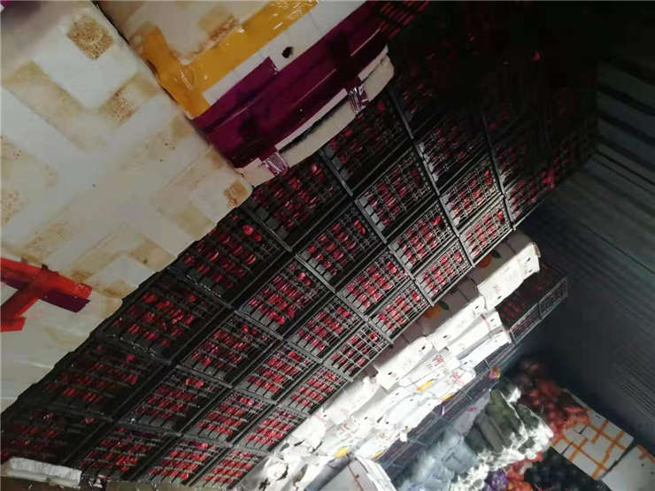 俄罗斯专享会294·VIP(中国区)官方网站