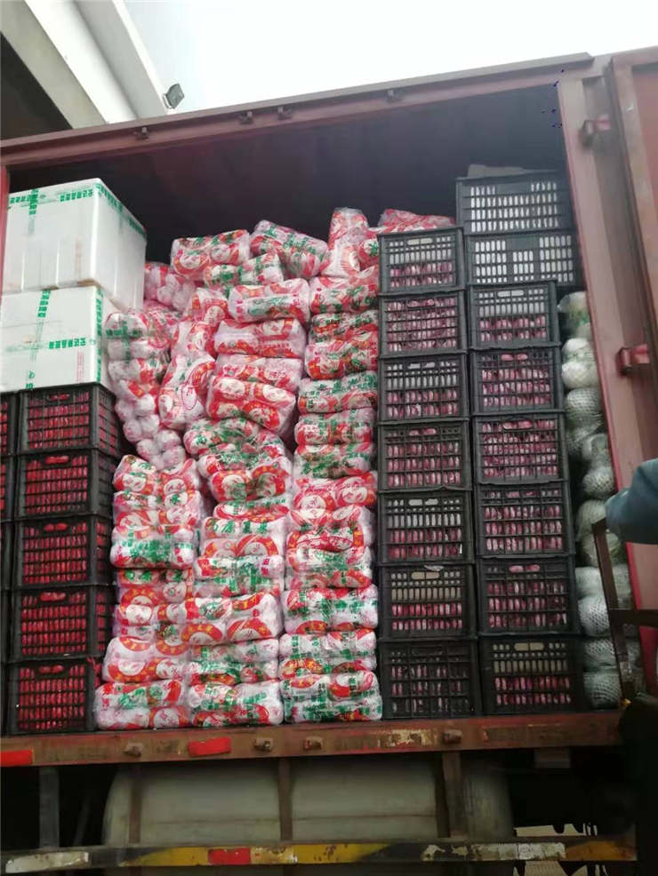 俄罗斯专享会294·VIP(中国区)官方网站