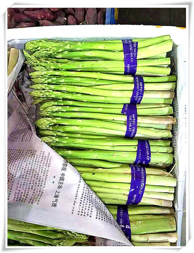 俄罗斯专享会294·VIP(中国区)官方网站