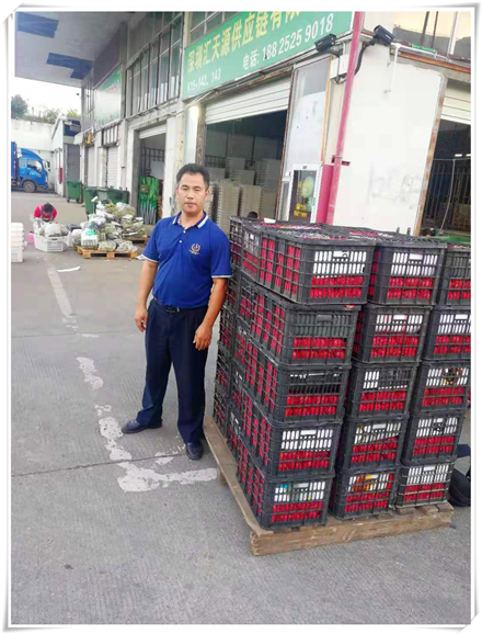 俄罗斯专享会294·VIP(中国区)官方网站