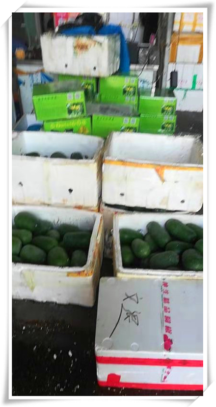 俄罗斯专享会294·VIP(中国区)官方网站