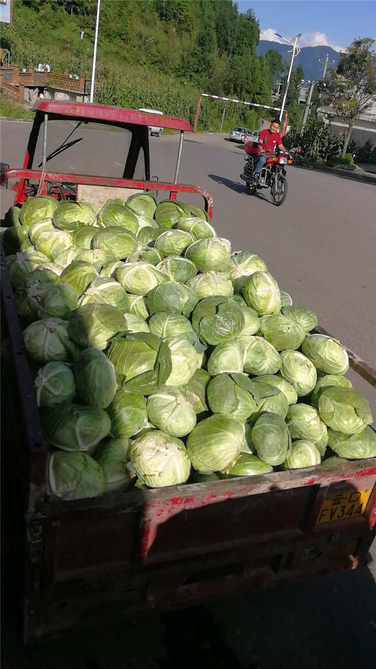 俄罗斯专享会294·VIP(中国区)官方网站