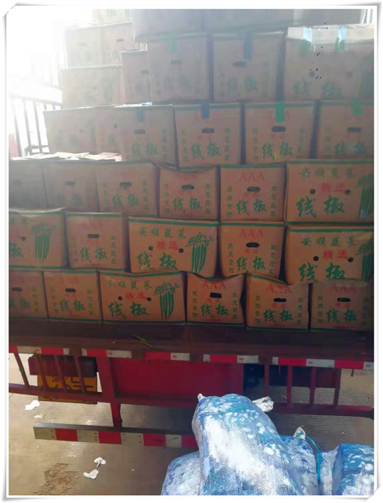 俄罗斯专享会294·VIP(中国区)官方网站