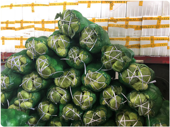 俄罗斯专享会294·VIP(中国区)官方网站