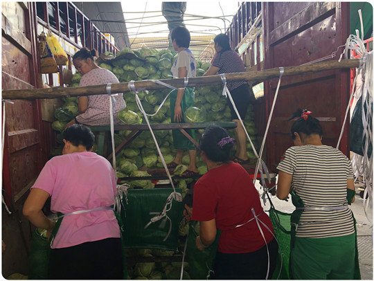 俄罗斯专享会294·VIP(中国区)官方网站