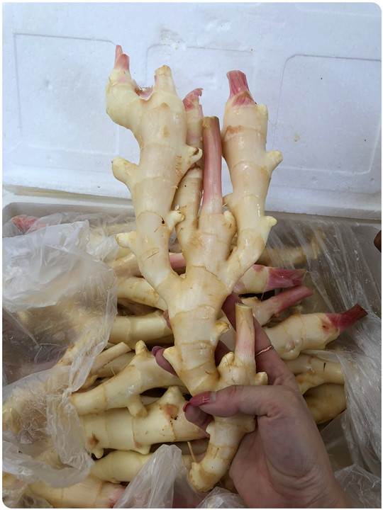 俄罗斯专享会294·VIP(中国区)官方网站