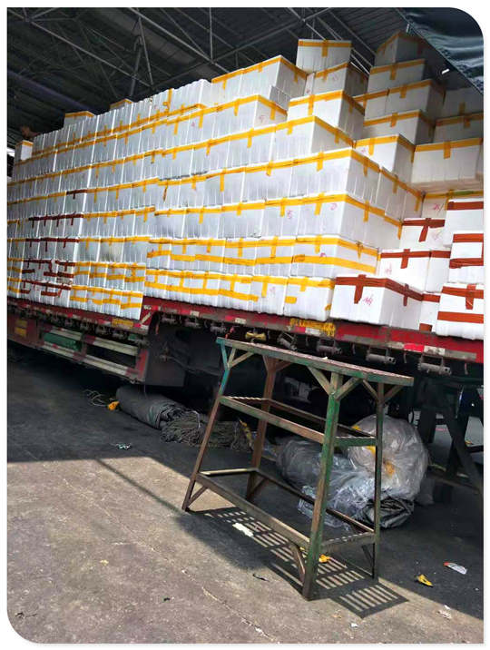 俄罗斯专享会294·VIP(中国区)官方网站