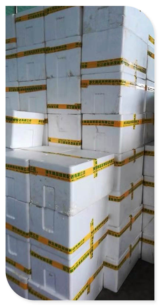 俄罗斯专享会294·VIP(中国区)官方网站