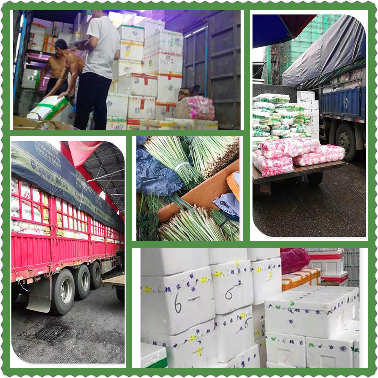 俄罗斯专享会294·VIP(中国区)官方网站