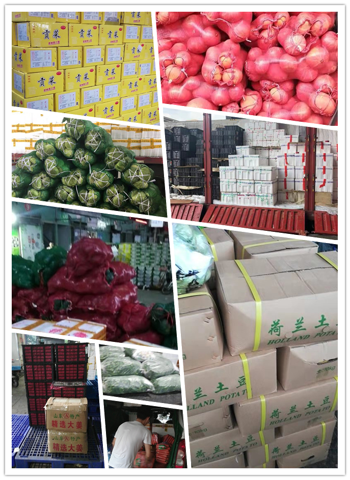 俄罗斯专享会294·VIP(中国区)官方网站