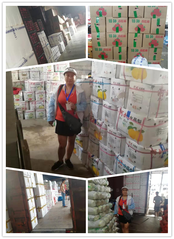 俄罗斯专享会294·VIP(中国区)官方网站