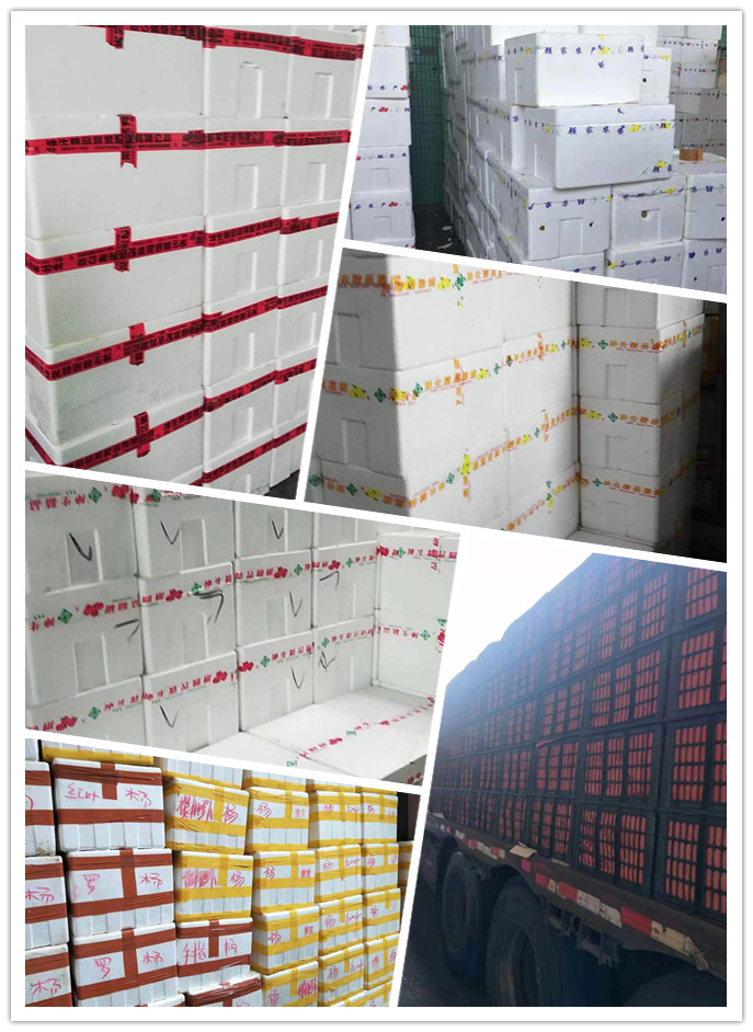 俄罗斯专享会294·VIP(中国区)官方网站