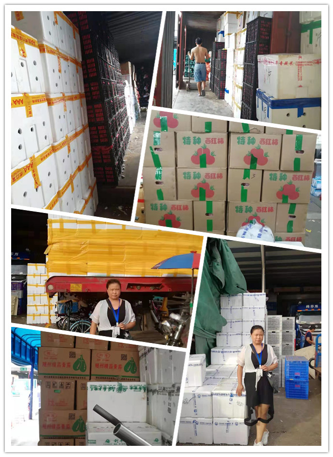 俄罗斯专享会294·VIP(中国区)官方网站