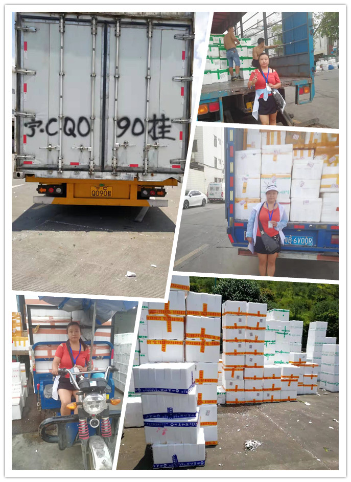 俄罗斯专享会294·VIP(中国区)官方网站