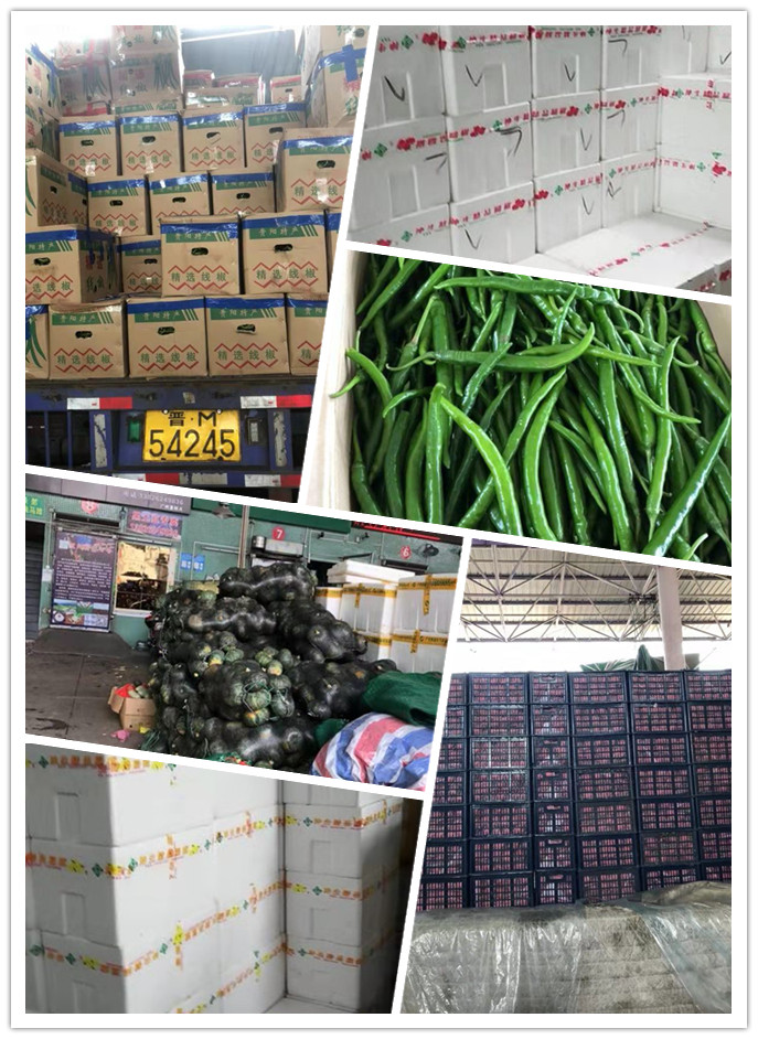 俄罗斯专享会294·VIP(中国区)官方网站