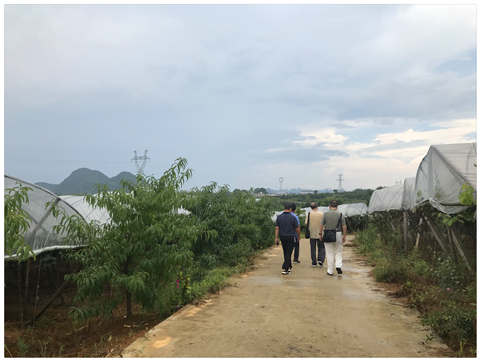 俄罗斯专享会294·VIP(中国区)官方网站