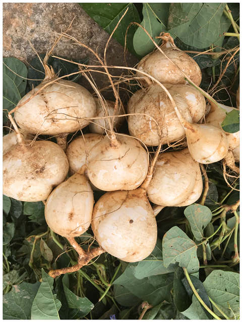 俄罗斯专享会294·VIP(中国区)官方网站