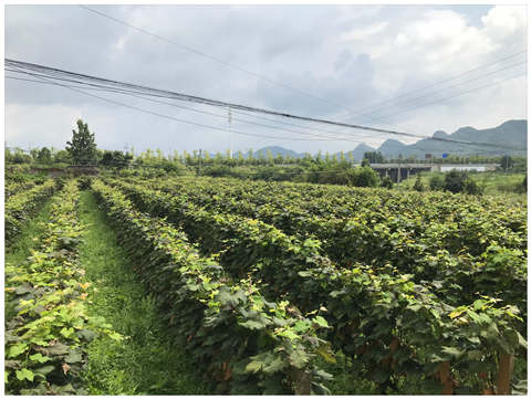 俄罗斯专享会294·VIP(中国区)官方网站