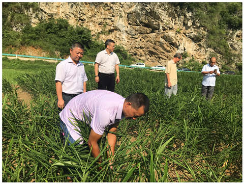 俄罗斯专享会294·VIP(中国区)官方网站