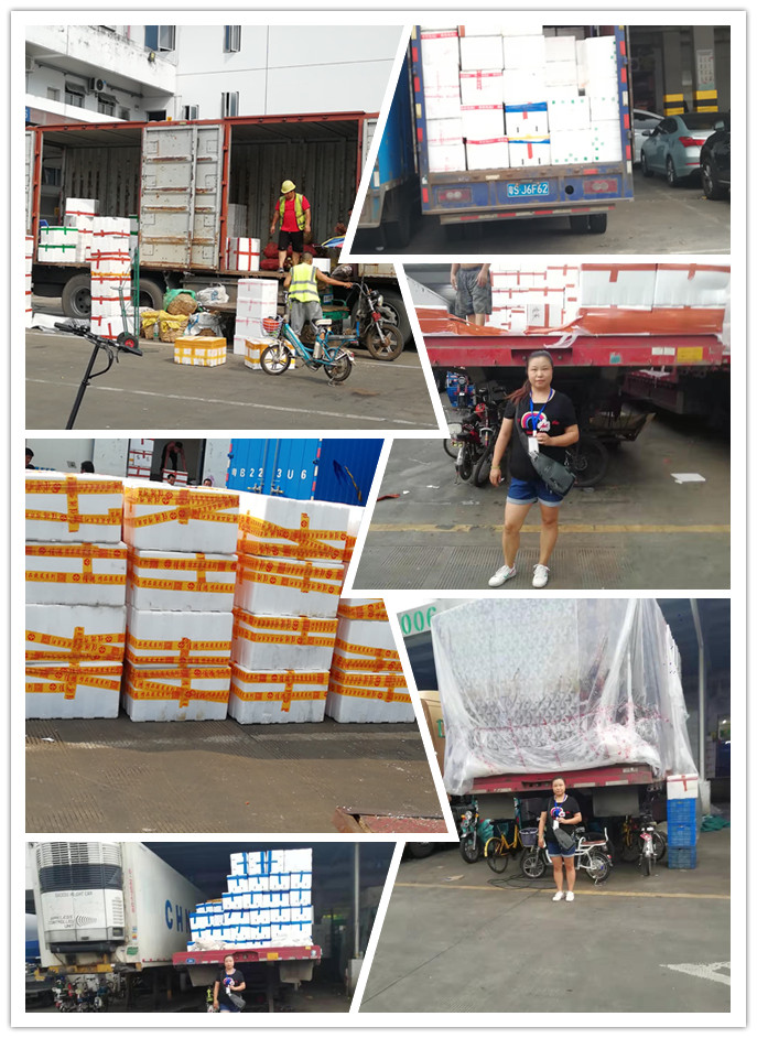 俄罗斯专享会294·VIP(中国区)官方网站