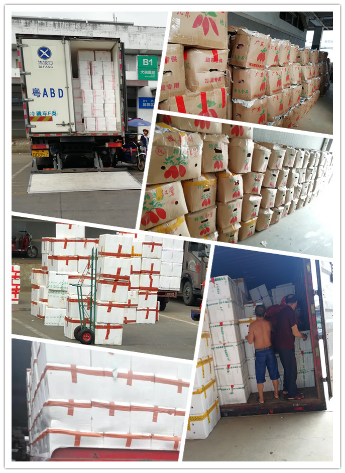 俄罗斯专享会294·VIP(中国区)官方网站