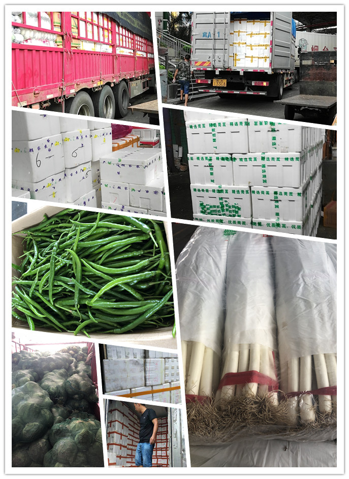 俄罗斯专享会294·VIP(中国区)官方网站